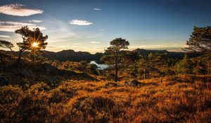 Preview wallpaper norway, trees, sky, grass