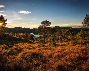 Preview wallpaper norway, trees, sky, grass