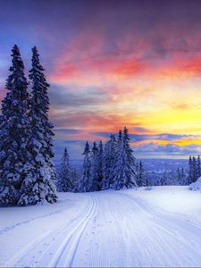 Preview wallpaper norway, winter, forest, snow, trees