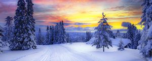 Preview wallpaper norway, winter, forest, snow, trees