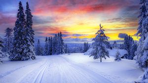 Preview wallpaper norway, winter, forest, snow, trees