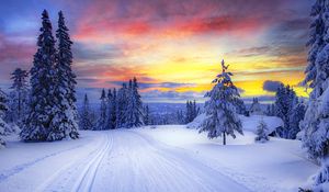 Preview wallpaper norway, winter, forest, snow, trees