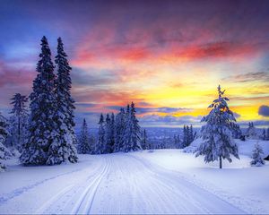 Preview wallpaper norway, winter, forest, snow, trees