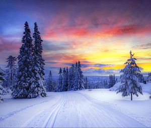 Preview wallpaper norway, winter, forest, snow, trees