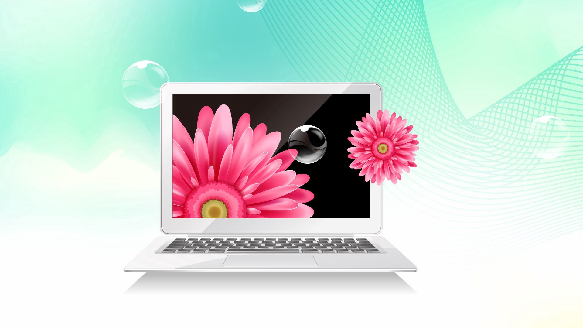 Download wallpaper 1920x1080 notebook, flowers, bubbles, picture full ...