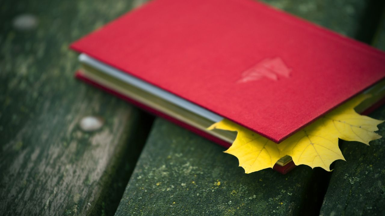 Wallpaper notebook, leaf, maple, autumn, mood