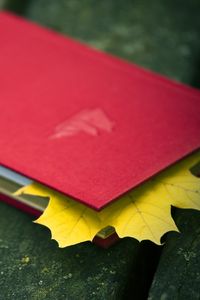 Preview wallpaper notebook, leaf, maple, autumn, mood