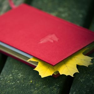 Preview wallpaper notebook, leaf, maple, autumn, mood