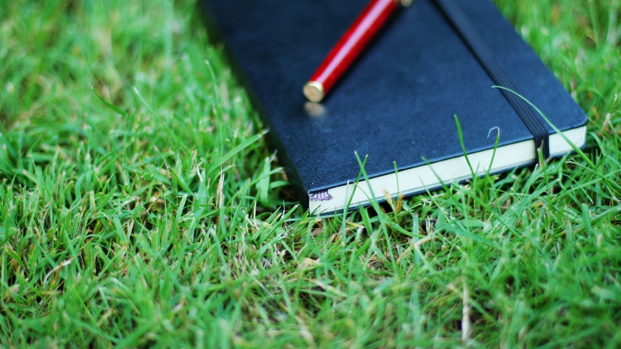 Wallpaper notebook, pen, grass, herbs