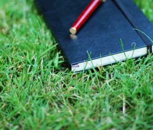 Preview wallpaper notebook, pen, grass, herbs