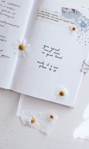 Preview wallpaper notebook, quotes, inscriptions, phrases, flowers