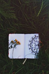 Preview wallpaper notepad, patterns, flowers, grass