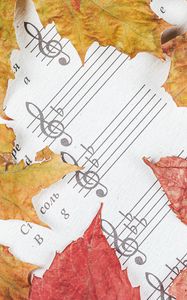 Preview wallpaper notes, letters, leaves, autumn