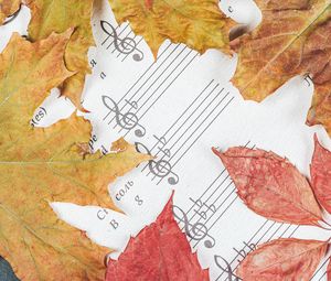 Preview wallpaper notes, letters, leaves, autumn