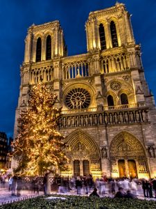 Preview wallpaper notre dame, notre dame de paris, paris, france, area, new year, christmas tree, holiday