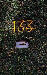 Preview wallpaper number, letter box, foliage, plant