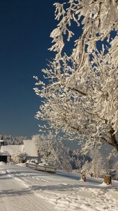 Preview wallpaper oad, hoarfrost, branches, winter, bench, solarly
