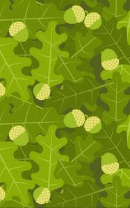 Preview wallpaper oak, acorns, leaves, vector