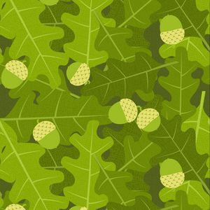 Preview wallpaper oak, acorns, leaves, vector