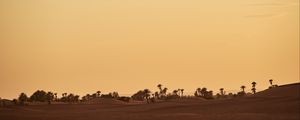 Preview wallpaper oasis, desert, palm, sand