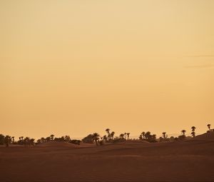 Preview wallpaper oasis, desert, palm, sand