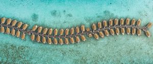 Preview wallpaper ocean, aerial view, bungalow, maldives