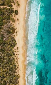 Preview wallpaper ocean, aerial view, coast, palm trees, sand, surf, foam