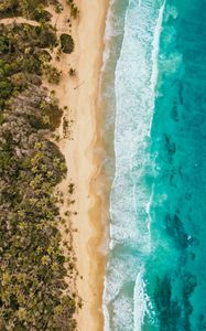 Preview wallpaper ocean, aerial view, coast, palm trees, sand, surf, foam