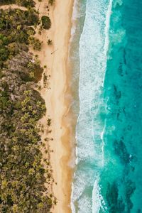 Preview wallpaper ocean, aerial view, coast, palm trees, sand, surf, foam