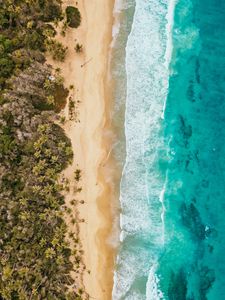 Preview wallpaper ocean, aerial view, coast, palm trees, sand, surf, foam