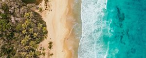 Preview wallpaper ocean, aerial view, coast, palm trees, sand, surf, foam