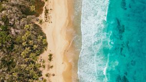 Preview wallpaper ocean, aerial view, coast, palm trees, sand, surf, foam