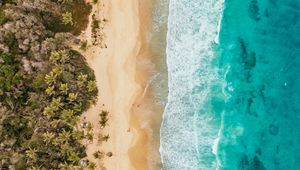 Preview wallpaper ocean, aerial view, coast, palm trees, sand, surf, foam