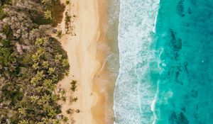 Preview wallpaper ocean, aerial view, coast, palm trees, sand, surf, foam