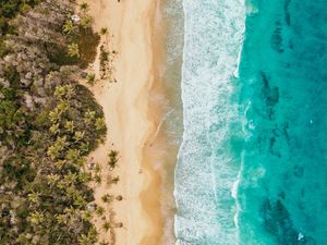 Preview wallpaper ocean, aerial view, coast, palm trees, sand, surf, foam