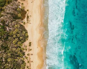 Preview wallpaper ocean, aerial view, coast, palm trees, sand, surf, foam