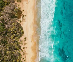 Preview wallpaper ocean, aerial view, coast, palm trees, sand, surf, foam