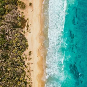 Preview wallpaper ocean, aerial view, coast, palm trees, sand, surf, foam