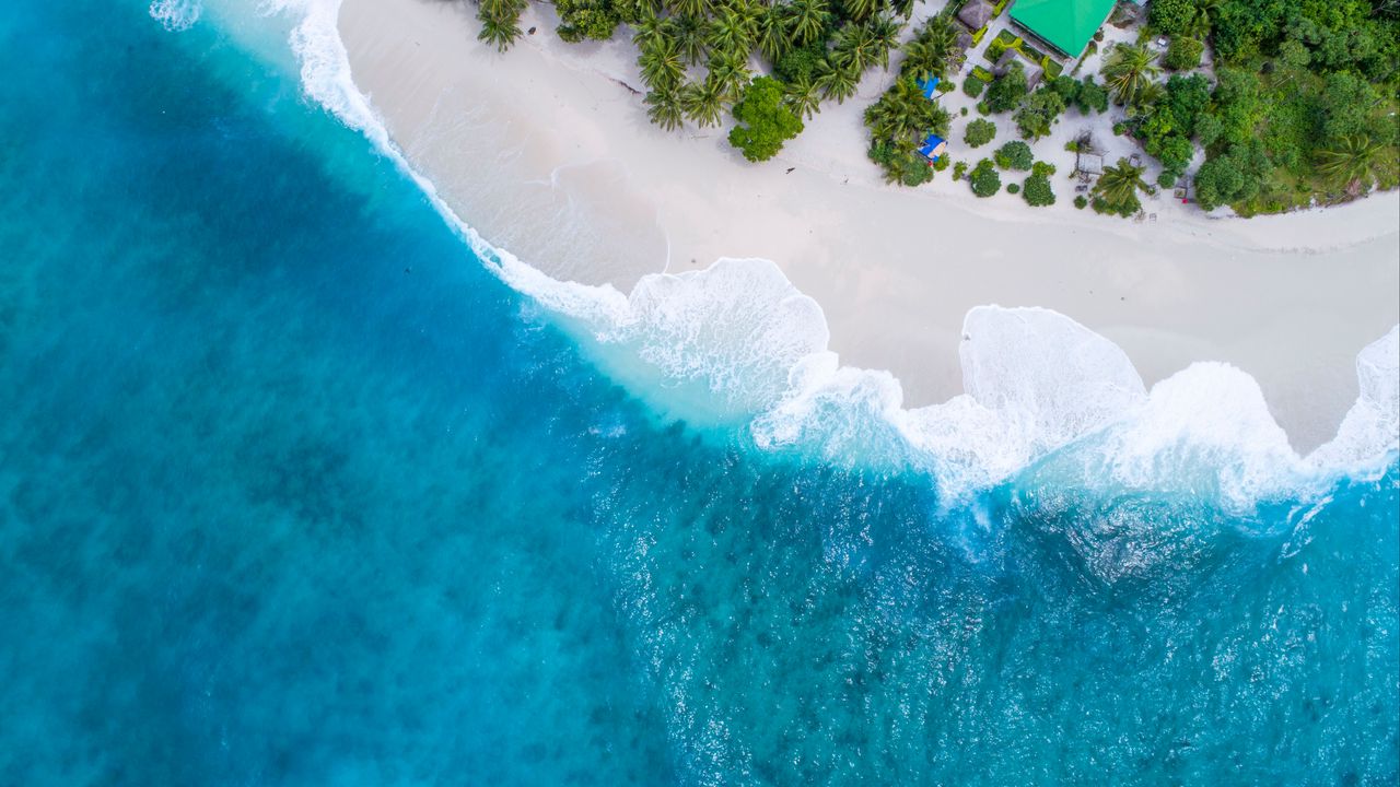 Wallpaper ocean, aerial view, palm trees, tropics, maldives