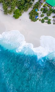 Preview wallpaper ocean, aerial view, palm trees, tropics, maldives