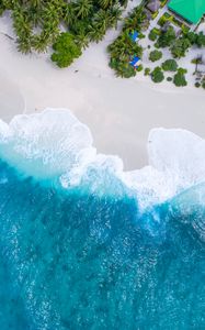 Preview wallpaper ocean, aerial view, palm trees, tropics, maldives