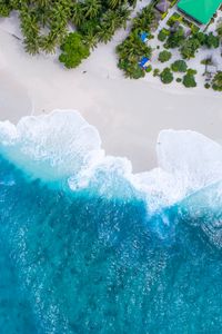 Preview wallpaper ocean, aerial view, palm trees, tropics, maldives