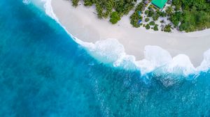 Preview wallpaper ocean, aerial view, palm trees, tropics, maldives