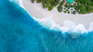 Preview wallpaper ocean, aerial view, palm trees, tropics, maldives