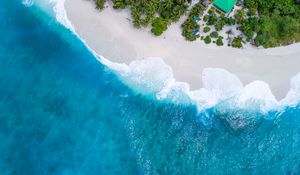 Preview wallpaper ocean, aerial view, palm trees, tropics, maldives