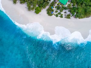 Preview wallpaper ocean, aerial view, palm trees, tropics, maldives