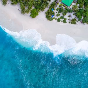 Preview wallpaper ocean, aerial view, palm trees, tropics, maldives