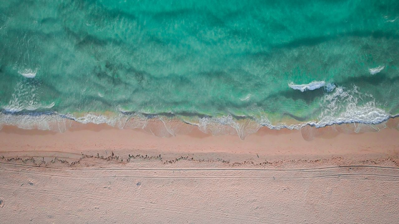 Wallpaper ocean, aerial view, sand, coast, wave