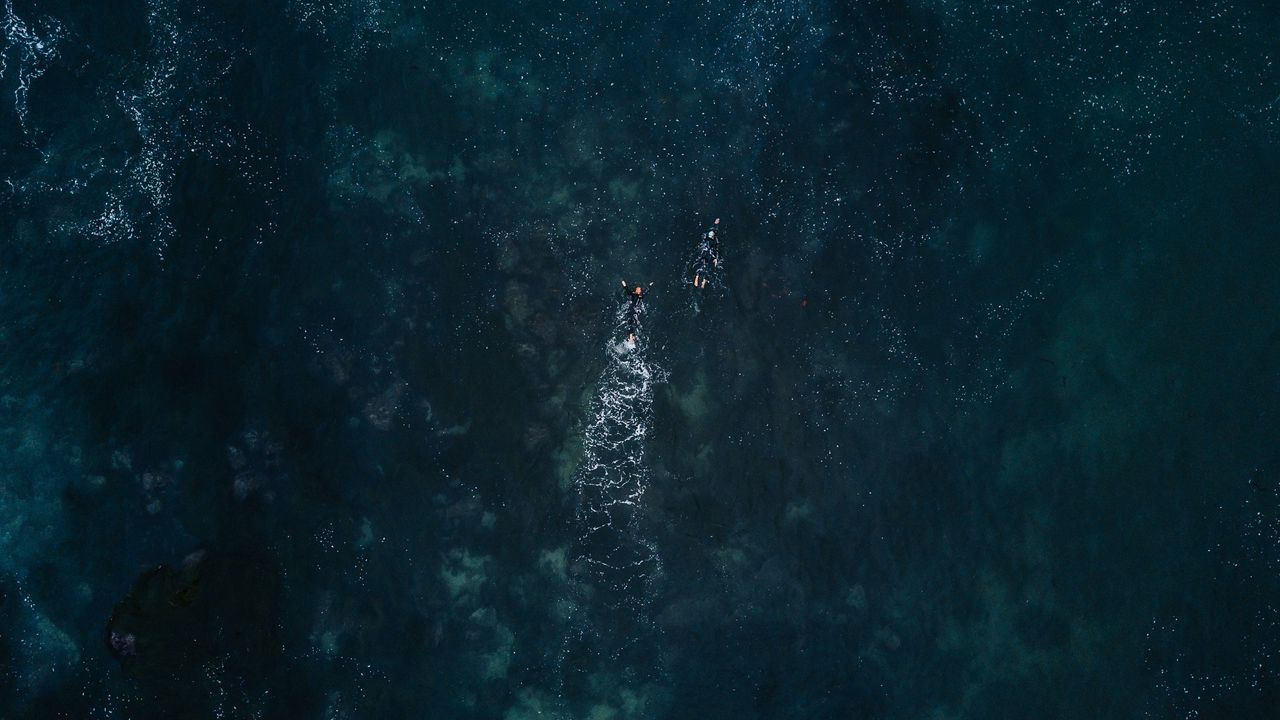 Wallpaper ocean, aerial view, swimmers, waves, water