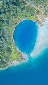 Preview wallpaper ocean, aerial view, trees, coast